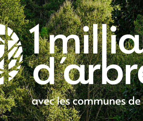 Initiative environnementale : plantation d’un nouvel espace forestier