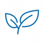  Masselin Energie Environnement Reduction Impact Carbone