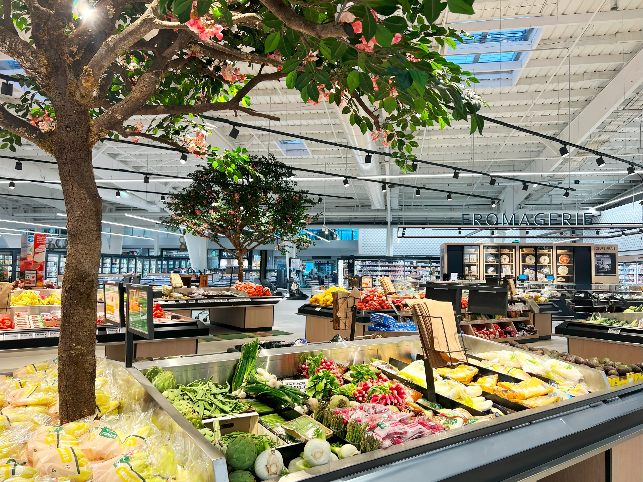 Masselin Surfaces Commerciales GMS Génie électrique