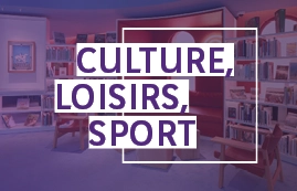 Segmentation Client Culture, Loisirs, Sport